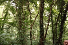IMG-20230707-WA0038