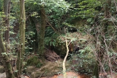 IMG-20230707-WA0040