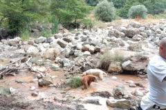 IMG-20230707-WA0042