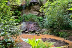 IMG-20230707-WA0046