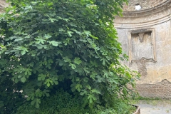 IMG-20230707-WA0057
