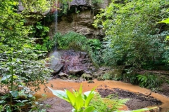 IMG-20230707-WA0075
