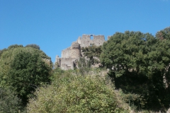 P9205584