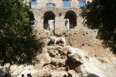 P9205588