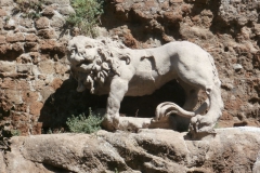 P9205589