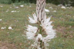 P5081676
