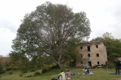P5081683