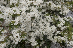 P5081698