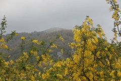 P5081703