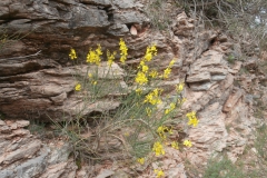 P5081714