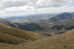 P9125478