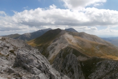 P9125495
