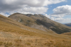 P9125508