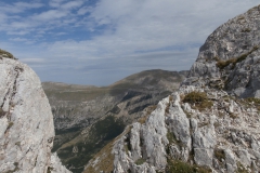 P9135534