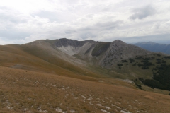 P9135544