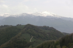 P4283558