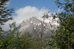 P4303644