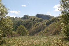 P4303672