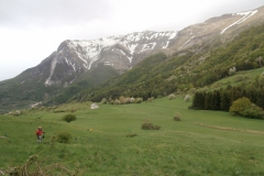 P5013687
