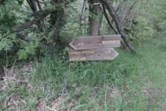 P5013692