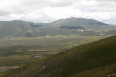 P6290372