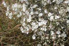 P6290416