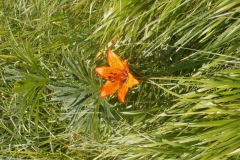 P6300435