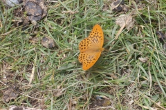 P6300446