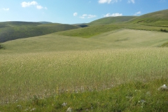 P7010491l