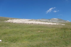 P7010492