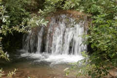 P6301477
