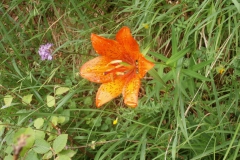 P7011561