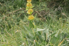 P7011567