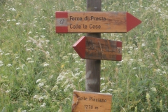 P7011572
