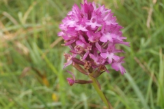 P7011576
