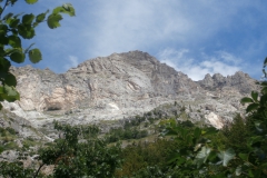 P7011580