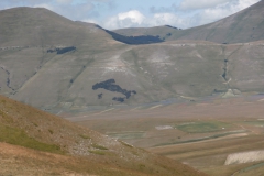 P7011584
