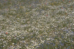 P7011610