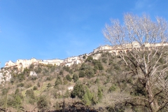 IMG_20240203_135236