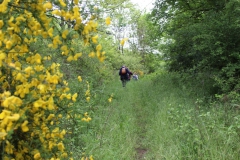IMG-20210523-WA0006