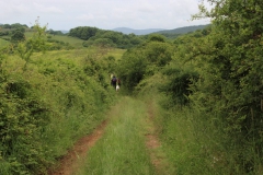 IMG-20210523-WA0007