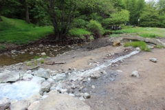 IMG-20210523-WA0016