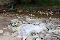 IMG-20210523-WA0017