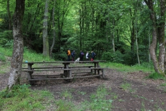 IMG-20210523-WA0024