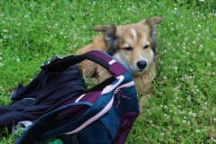 IMG-20210523-WA0027