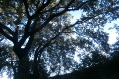 PB086161