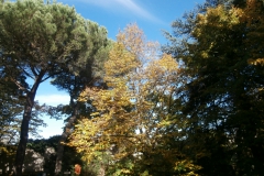 PB086178