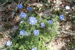 P4223469