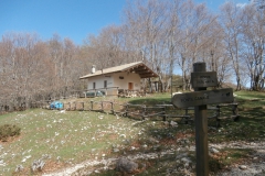 P4223534