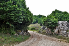DSC0040-2